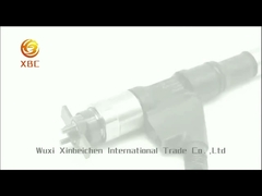 Auto Engine Parts Denso Common Rail Injector 095000-8011